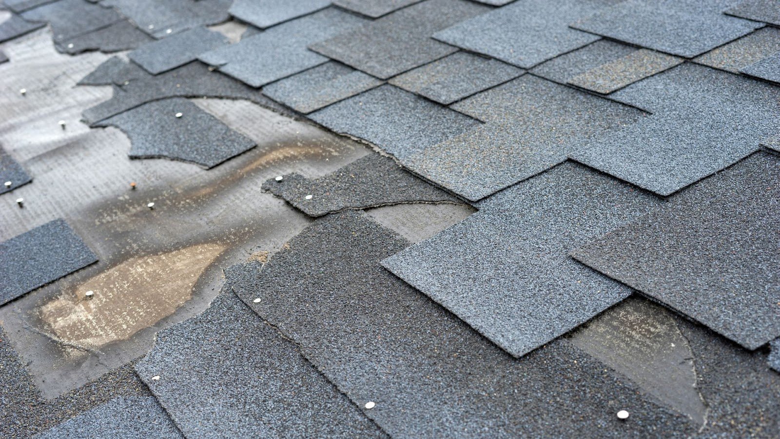 Missing or Damaged Shingles