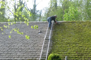 how to clean moss off roof