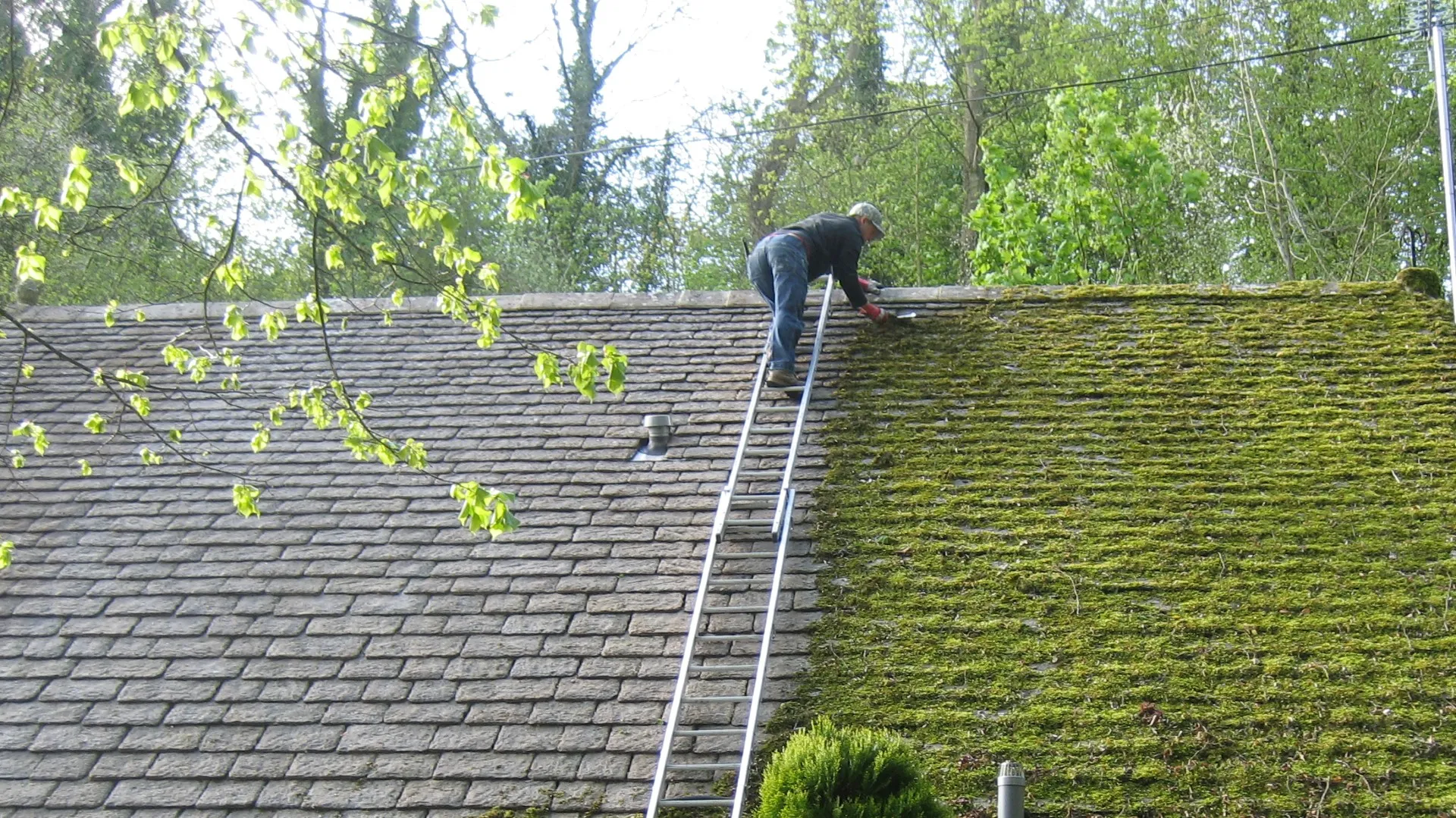 how to clean moss off roof